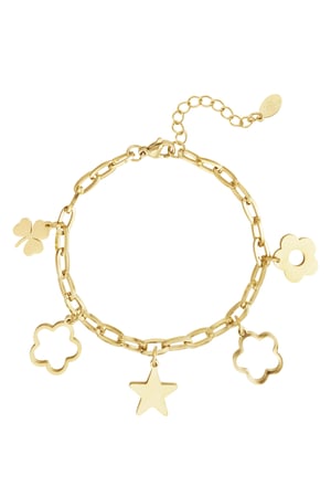 Link bracelet charms - Gold color h5 