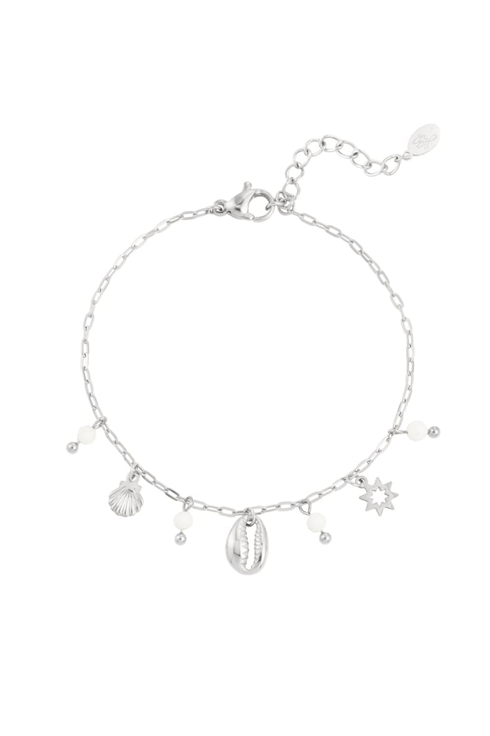 Bracelet charms and stones - Silver Color color 