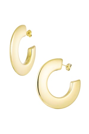 Earrings thick circle - Gold color h5 