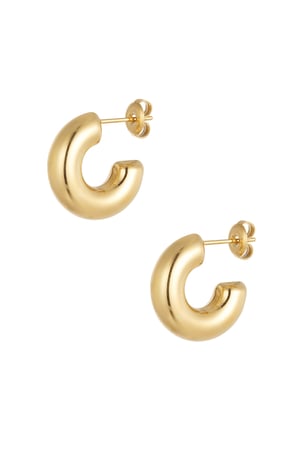 Earrings aesthetic basic half small moon - Gold color h5 