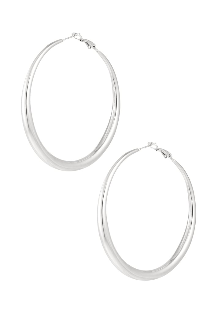 Basic earrings with variety - Silver Color color 