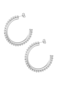 silver color Image2
