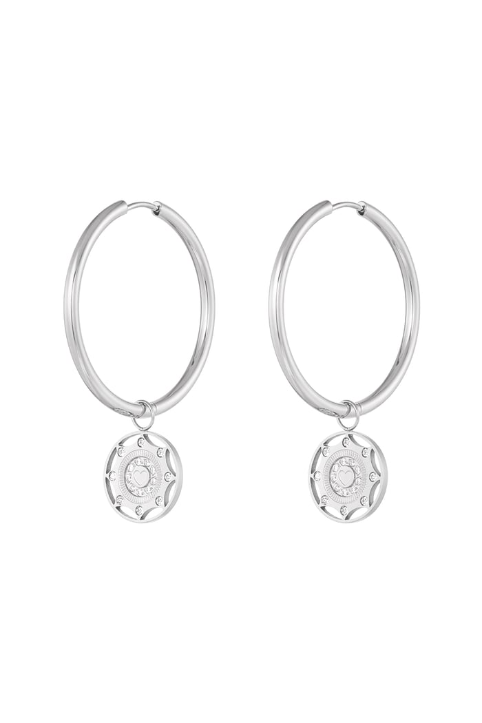 Earrings zircon coin - Silver Color color 