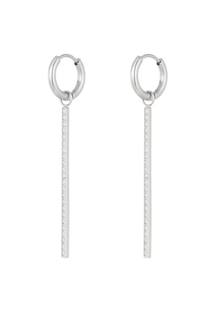 Zircon row earrings - Silver Color color h5 