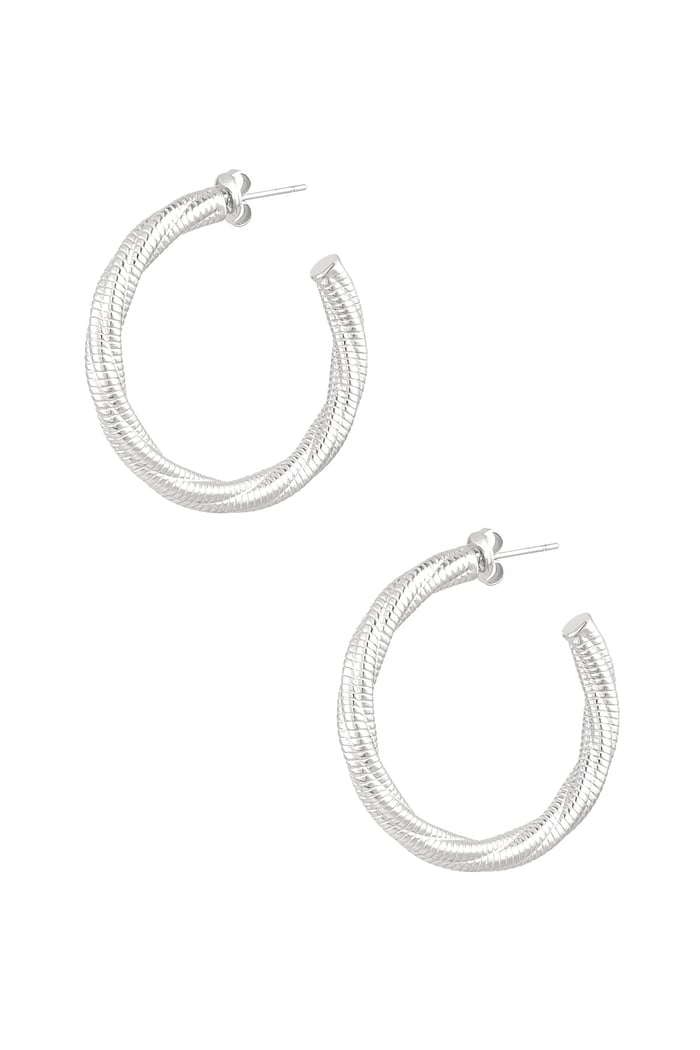 Earrings twisted relief - Silver Color color 