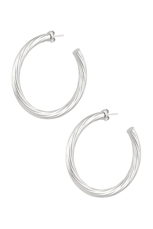 Twisted stripe earrings - Silver Color color h5 