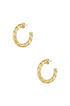 Earrings twisted basic small - Gold color h5 