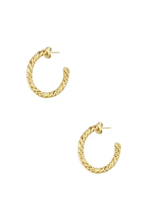 Twisted earrings small - Gold color h5 