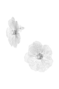 silver color Picture2