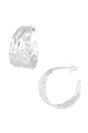 Earrings chic - Silver Color color h5 