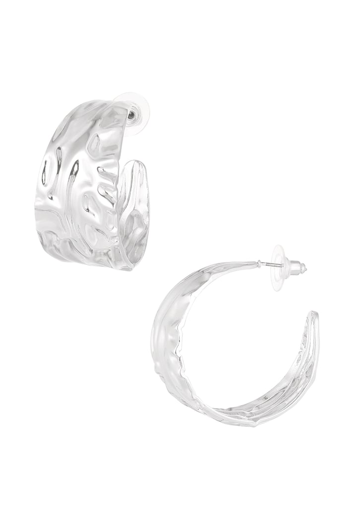 Earrings chic - Silver Color color 