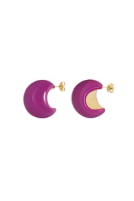 fuchsia Picture5