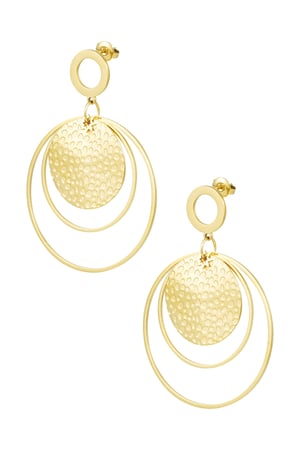 Earrings different rings - Gold color h5 