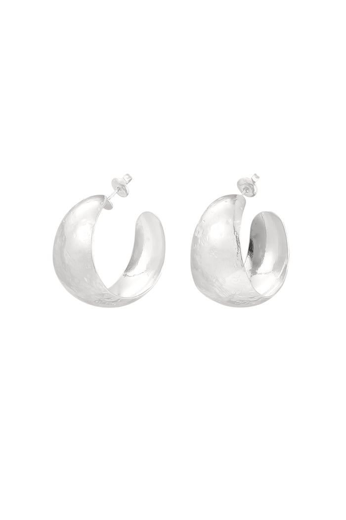 Earrings brushed wide - Silver Color color 