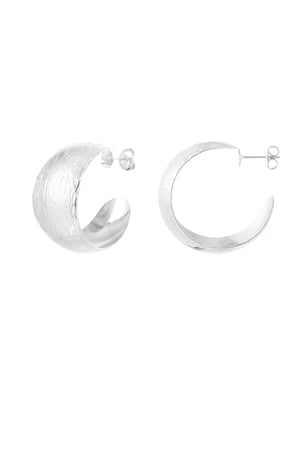 Earrings moon brushed - Silver Color color h5 