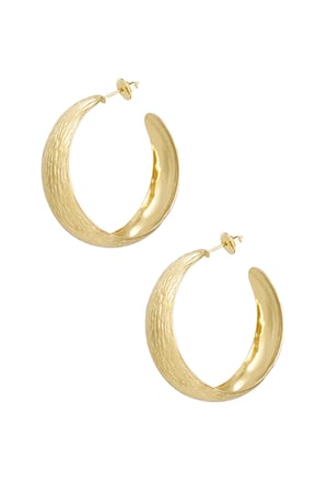 Earrings striped structure - Gold color h5 