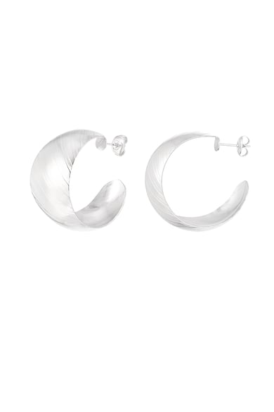 earrings brushed h5 
