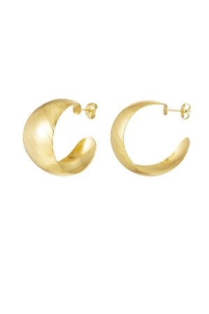 Earrings brushed - Gold color h5 