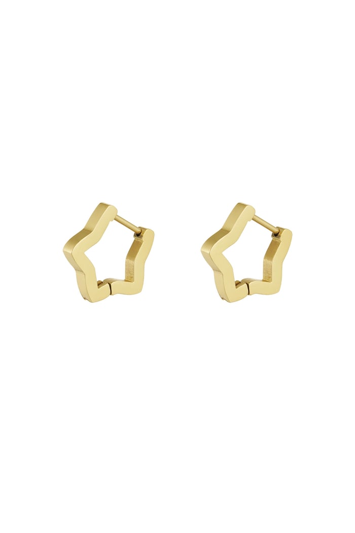 Basic star earrings Gold Color - small 