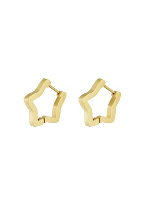 Basic star earrings medium - Gold color h5 