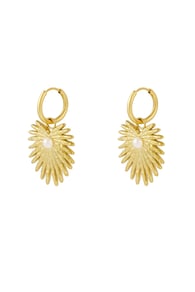 Gold color Picture2