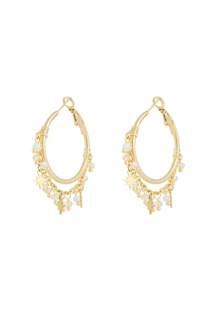 Earrings flawless filter - beige Gold color h5 