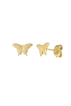 Butterfly stud earrings - Gold color h5 