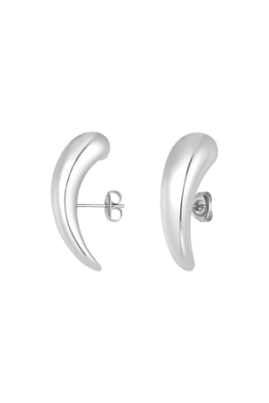 Stripe earrings - Silver Color color h5 