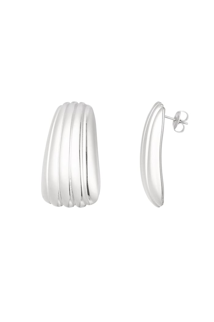 Simple stripe earrings - Silver Color color 