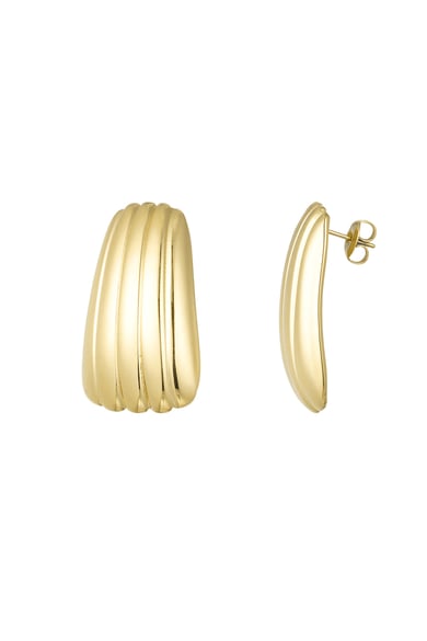 Simple stripe earrings - Silver Color color h5 