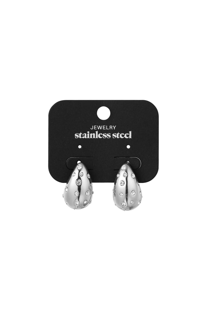 Drop earrings dazzling days - Silver Color color Picture3