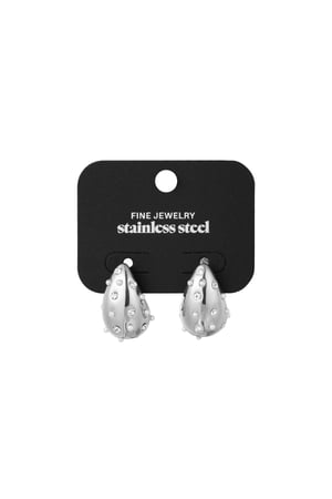 Drop earrings spice it up - Silver Color color h5 Picture3