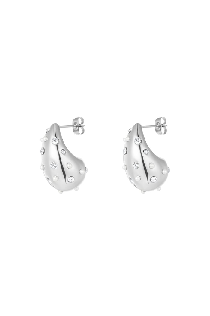 Drop earrings spice it up - Silver Color color 