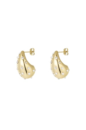 Drop earrings spice it up - Gold color h5 