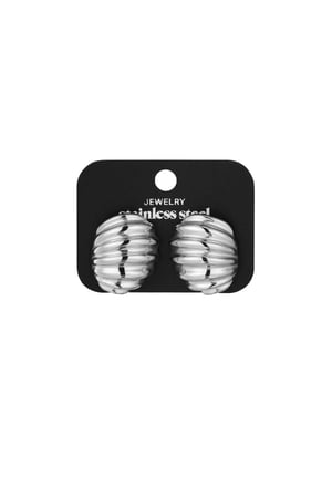 Earrings ribbed basic - Silver Color color h5 Picture3