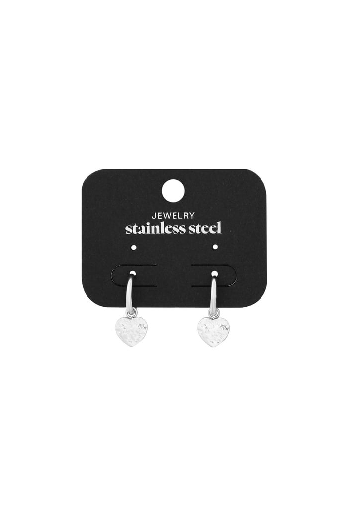 Earrings fancy fair - Silver Color color Picture3