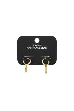 Give me luck earrings - Gold color h5 Picture3