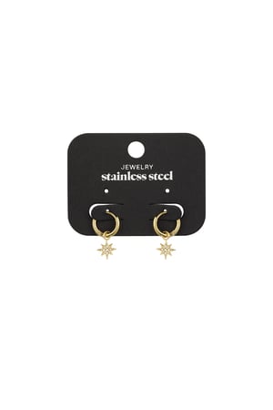 Earrings stardust - Gold color h5 Picture3