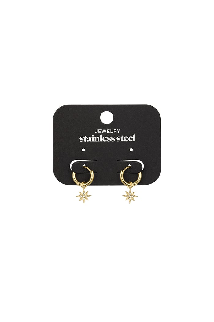 Earrings stardust - Gold color Picture3