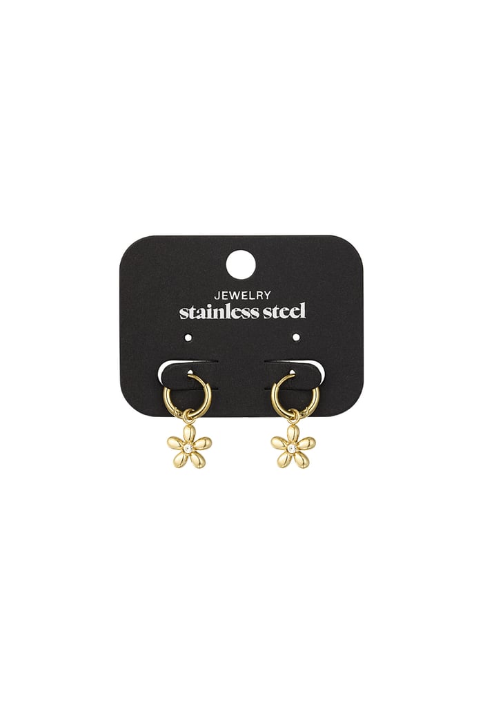 Earrings daisy doo - Gold color Picture3