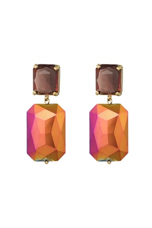 Shine bright earrings - brown h5 