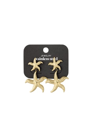 Double starfish earrings - Gold color h5 Picture3