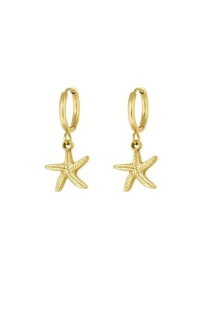 Earrings simple starfish - Gold color h5 