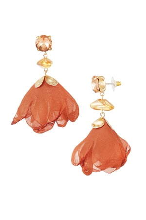 Earrings fall rose - orange h5 