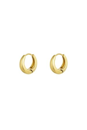 Small basic hoop earrings - Gold color h5 