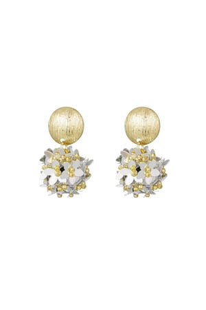 Pop of colour earrings - Gold Color and silver h5 