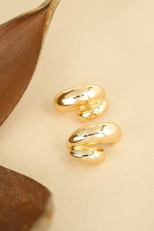 Earrings timeless treasure - Gold color h5 Picture4