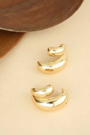 Earrings timeless treasure - Gold color h5 Picture5