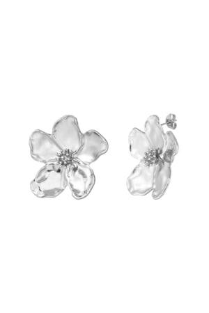 Earrings oopsie daisy - Silver Color color h5 