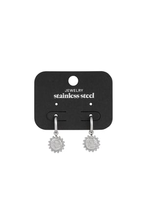 Solar synergy earrings - Silver Color color h5 Picture2